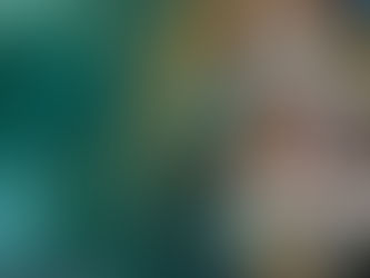 The Strategic Financial Partner: How Accountants Influence Business Success and Growth