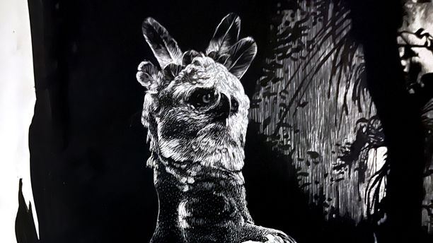 Rainforest_Detail 003.jpg