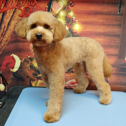 IMG_20191228_160033_579