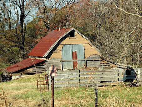 Do You Need a Building Permit for a Shed in South Florida?