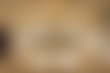 Modern modular real estate property architecture