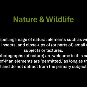 Nature & Wildlife