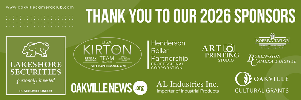 2026 - Capture Gala web images (1800 x 600 px) (6).png