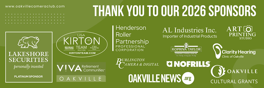 2026 - Capture Gala web images (1800 x 600 px) (1).png