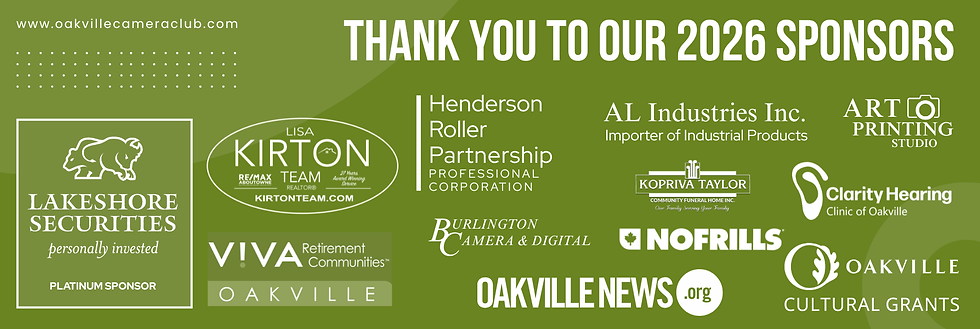 2026 - Capture Gala web images (1800 x 600 px) (1).png