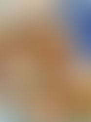 Baptism Bliss & Cheese Board Chaos