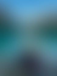 Two Weeks in the Wild North: Mountains, Memories & a Dreamy Wedding 🇨🇦✨