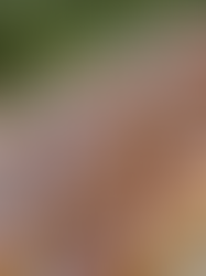 Tiny Boats, Big Feelings - My First Charcuterie Boat Adventure