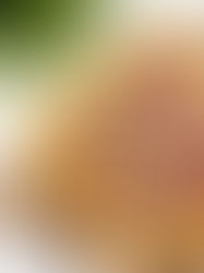 3 Fall Recipes with Figs 🍂