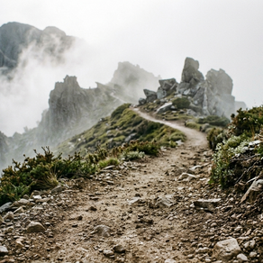 The Courage to Begin.