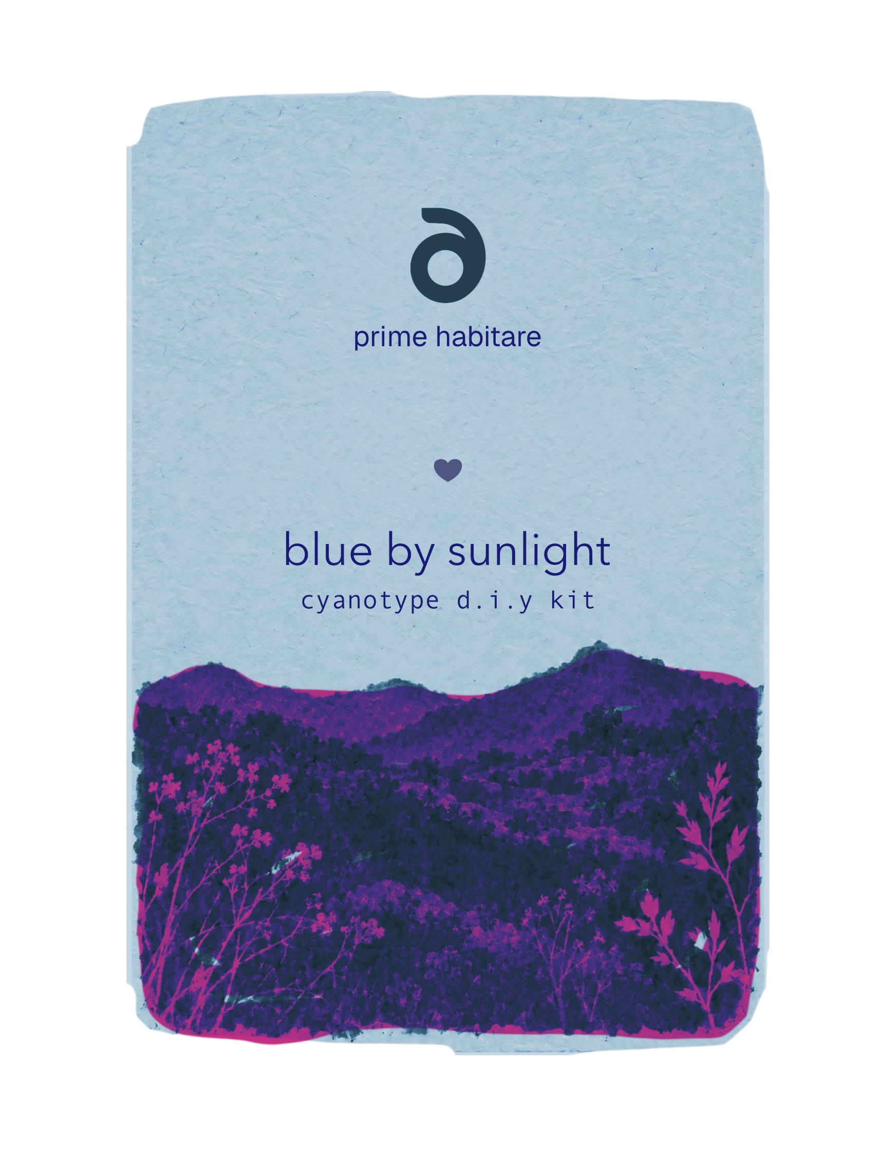 D I Y Cyanotype Kit