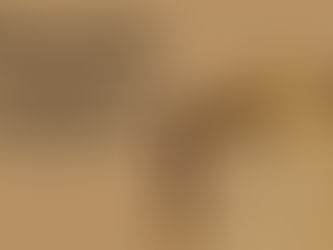 Why is the Kraft paper Bag Popular?