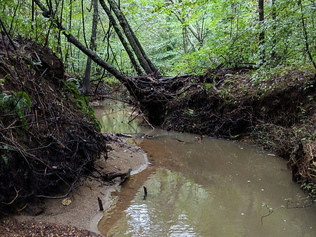 BroadCreekBefore (7).jpg