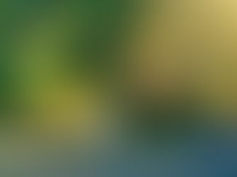 Gilson Road Cemetery