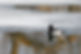 MFCRWD_-_19_on_4-21-2018_Old_Mill_Inn.jpg
