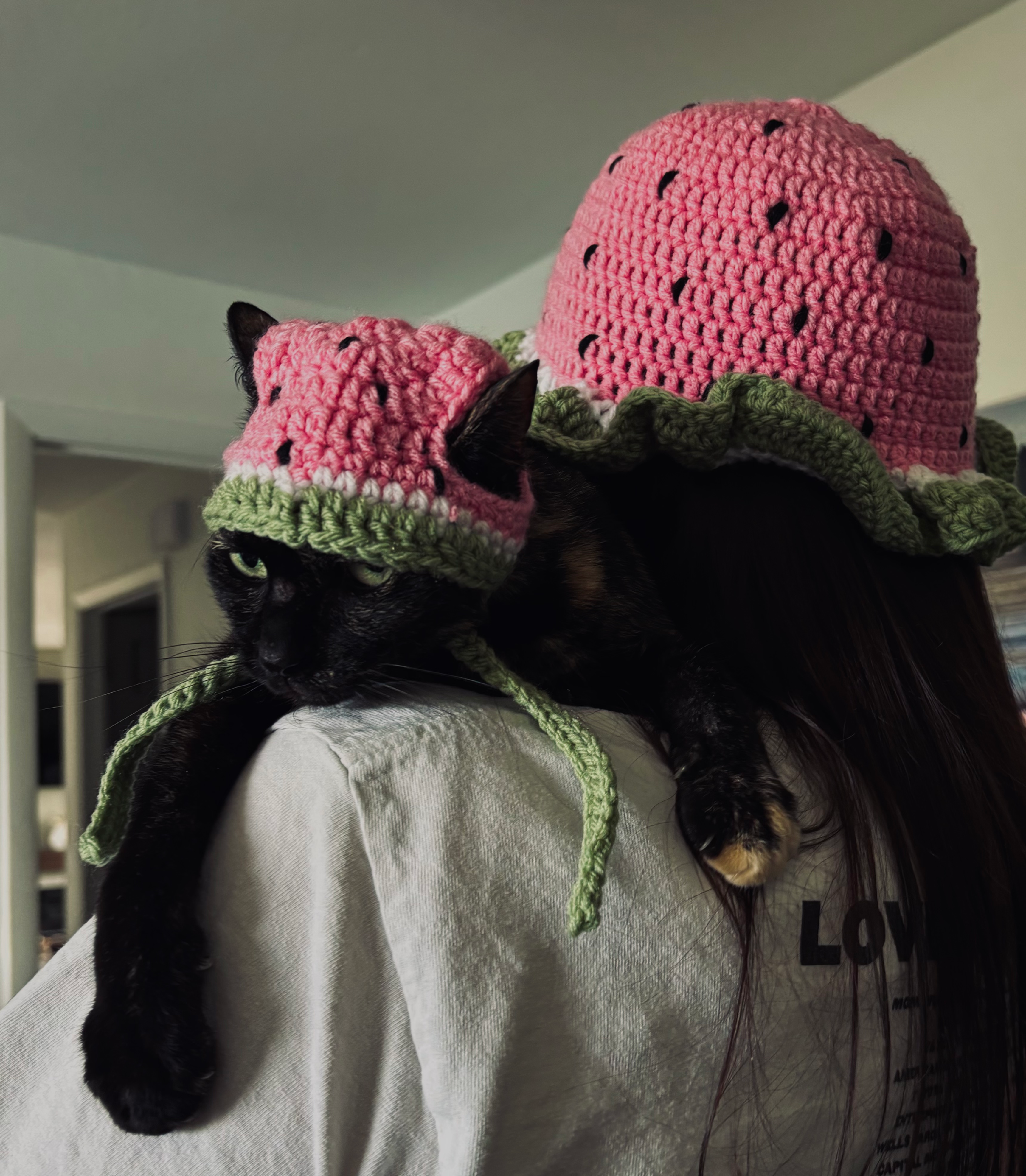 Crochet Watermelon Hats for Humans and Cats