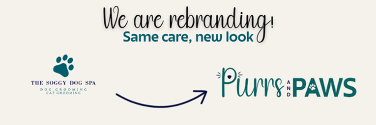 Rebrand for Purrs and Paws Grimsby