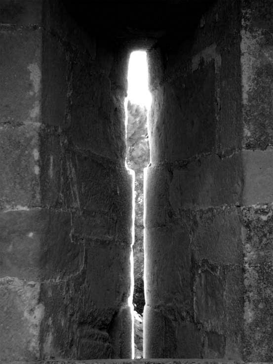 Carcassonne 8
