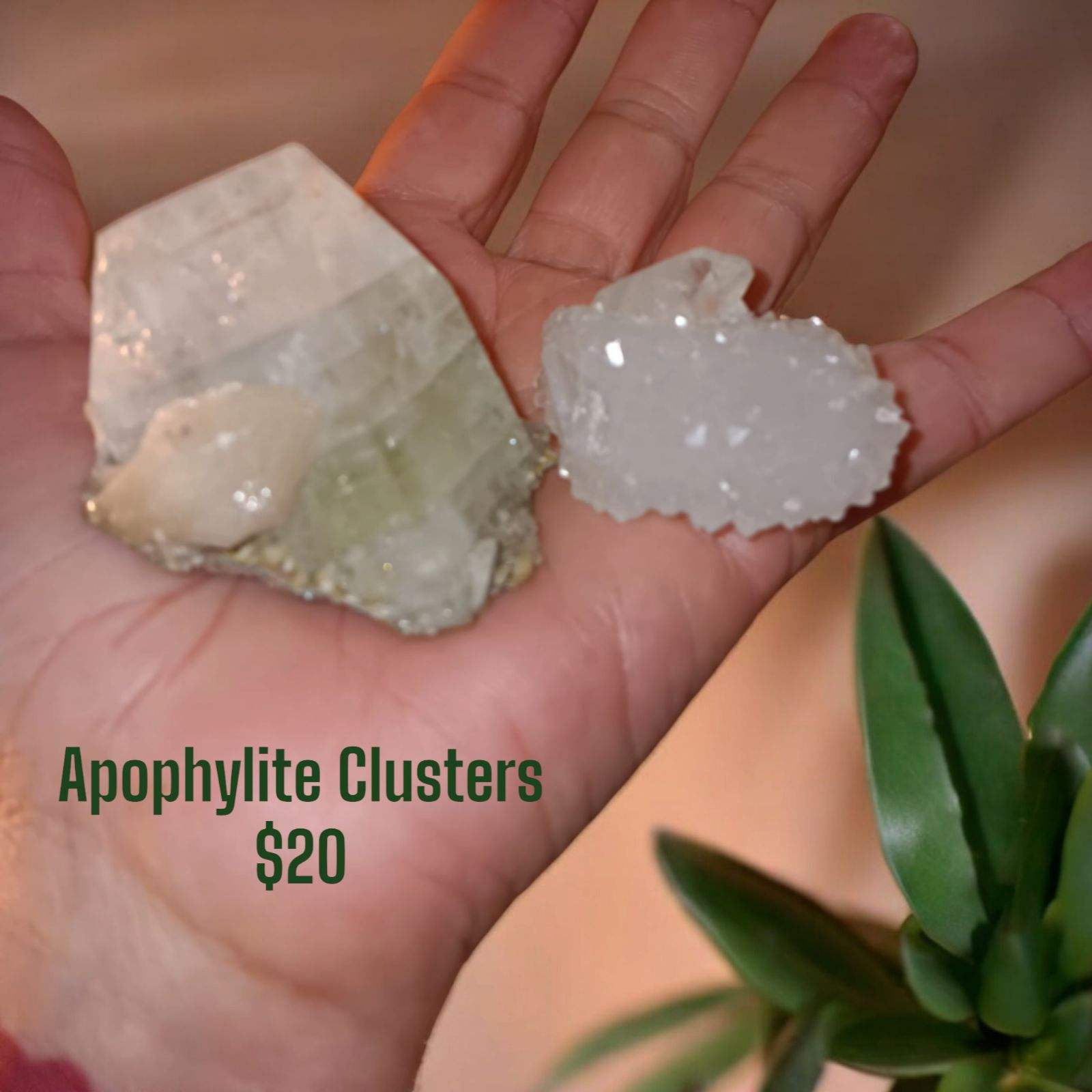 Apophyllite Clusters