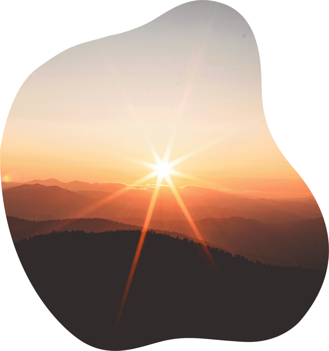Gif-ok-slider-fil-dor-oct-2026.gif