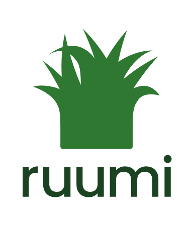 ruumi.png