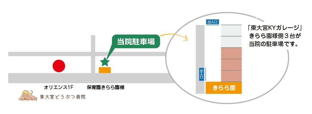 東大宮どうぶつ病院 さいたま市見沼区 東大宮駅東口徒歩8分