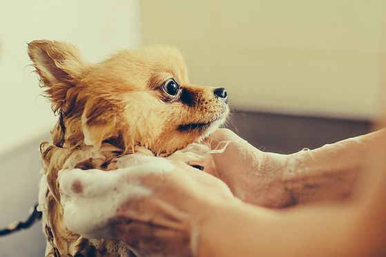 AdobeStock_234152361.jpeg