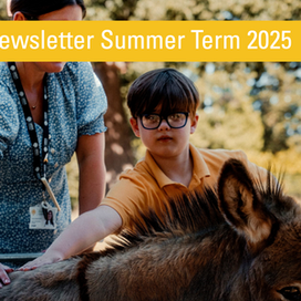 End of Year Newsletter!