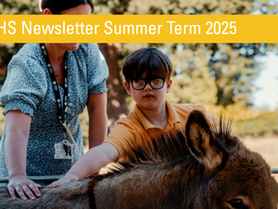 End of Year Newsletter! 