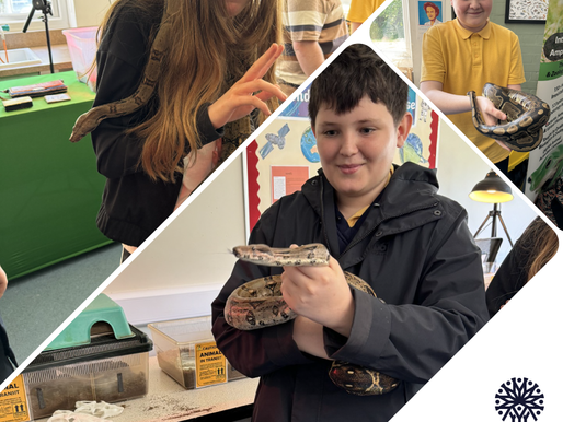 The Reptile Academy Slithers into school!