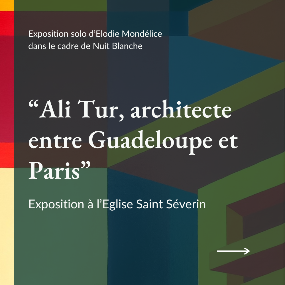 Patrimoine & couleurs, exposition d'Elodie Mondélice, Nuit Blanche