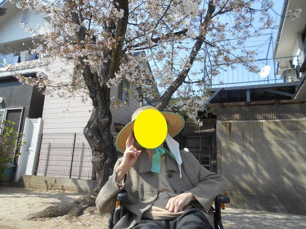 花見に行って来たよ!! ～サービス付き高齢者向け住宅 麻姑の雅　国富 ～