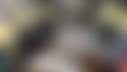 MaCO CAFÉ開催報告☆～麻姑の小町伊島～