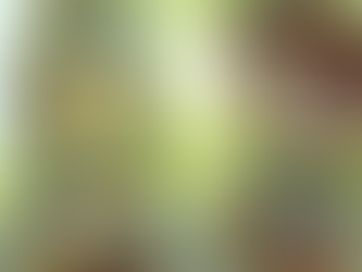 地域の祭りに合わせて~麻姑の小町伊島~