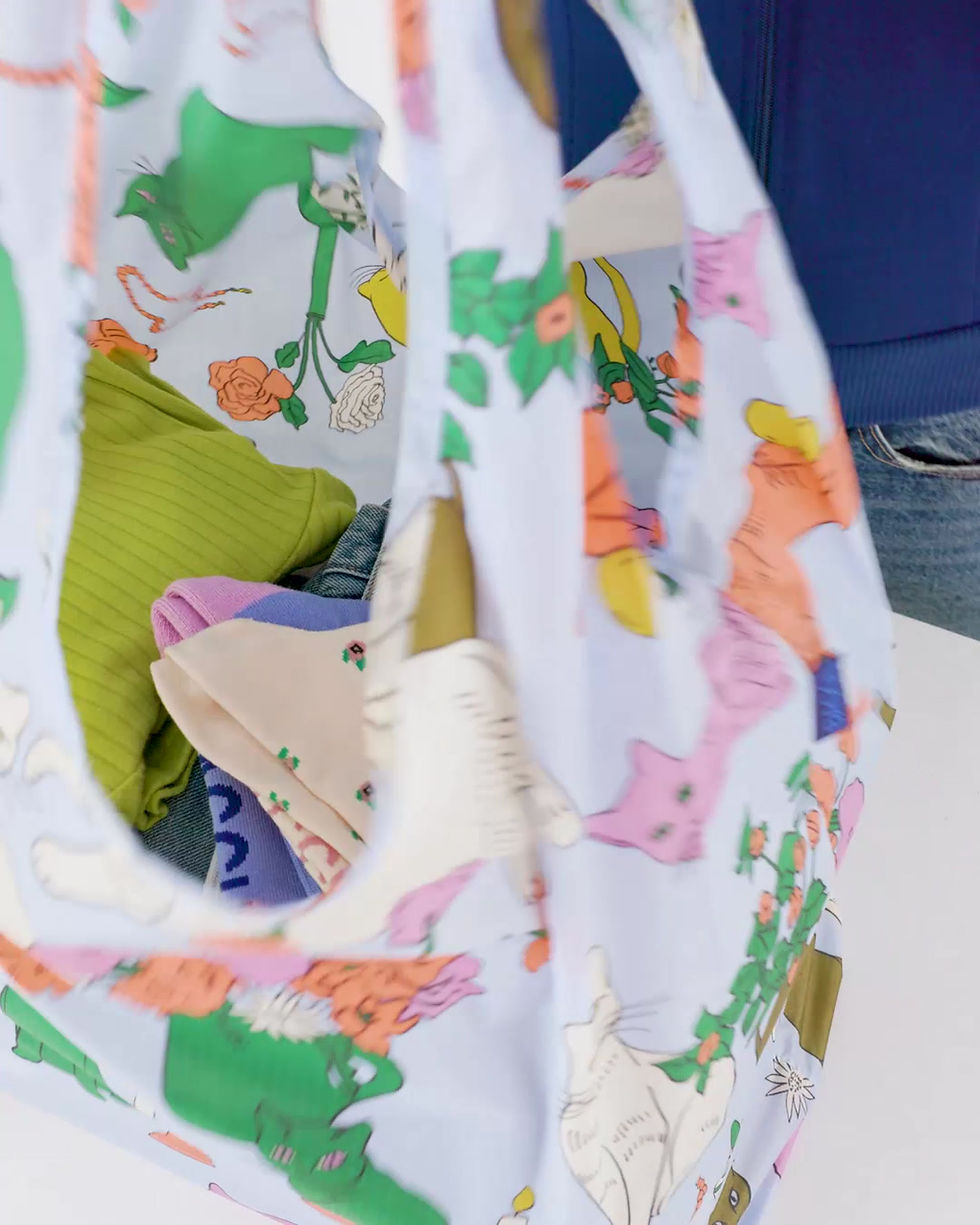 Miniaturbild: Video zur BIG BAGGU