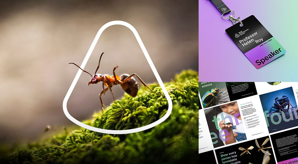 Royal-Entomological-Society-Branding-Overview2.jpg