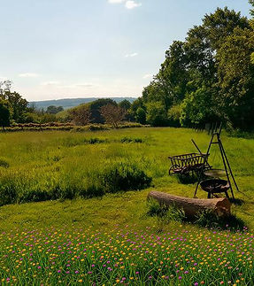 wildflowers firepit.jpg