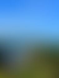 「どっぷり高知旅」ごめん・なはり線フルーツ列車運行