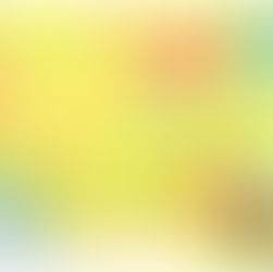 4月以降も土日祝日の中村・宿毛線普通列車では「土佐くろおでかけきっぷ」をご利用ください