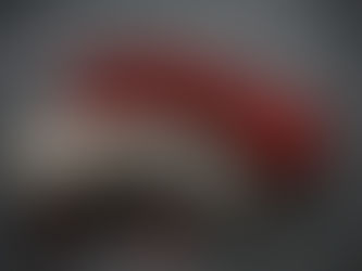 ［年年魷魚迎新年- 回饋團織］ 