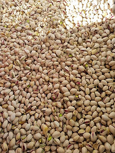 WhatsApp Image 2026-04-16 at 12.00.271.jpeg