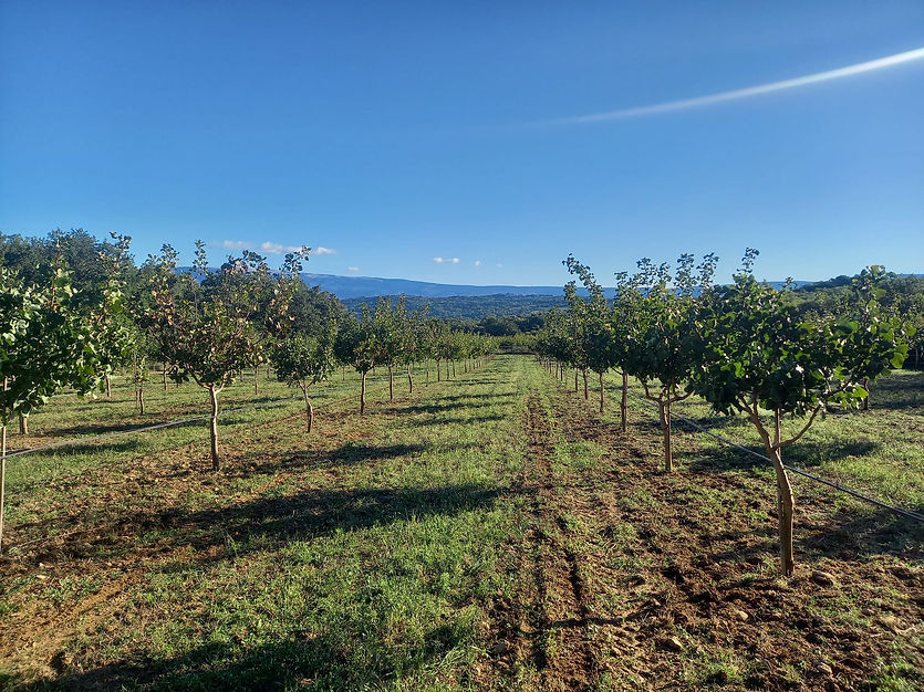 WhatsApp Image 2026-04-16 at 11.56.45.jpeg