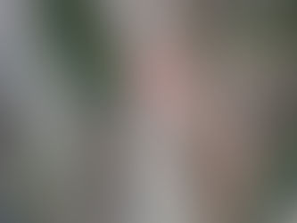 Presqu’ile Bird Report for 9-15 Apr 2021