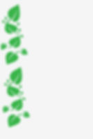 bg art of microgreens.jpg