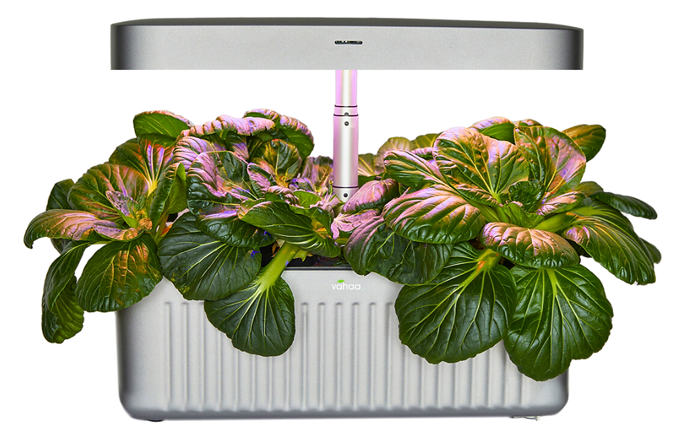 Küçük resim: Vahaa Smart Garden Silver