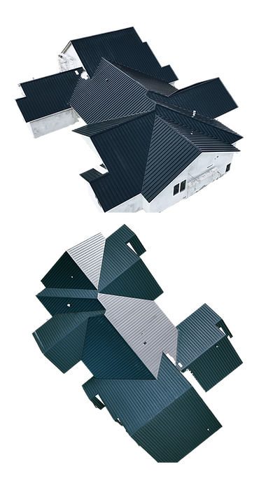 metal roof_trans.png