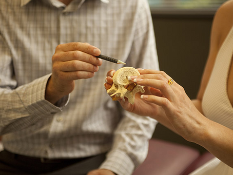 How Attending a Chiropractic Appointment Can Aid Your Quality of Life