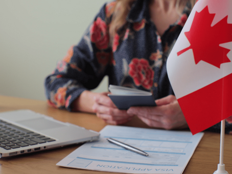 Exploring the Role of an Immigration Consultant in Edmonton for Students and Professionals