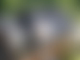 Powering Your Structure Using Solar Energy