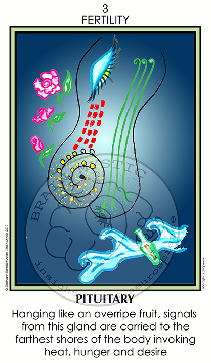 Thumbnail: Sample Card close up